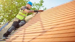 Best Roof Insulation Installation  in Sangaree, SC