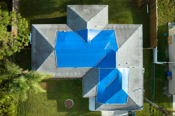Best Chimney Flashing Repair  in Sangaree, SC