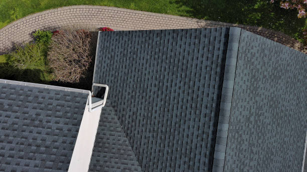 Best Roof Moss and Algae Removal  in Sangaree, SC