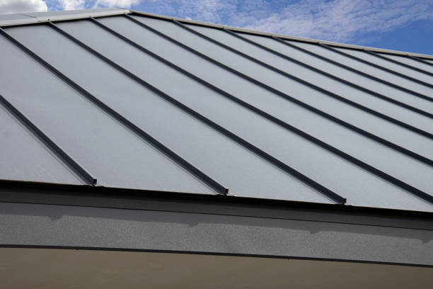 Best Metal Roofing Installation  in Sangaree, SC
